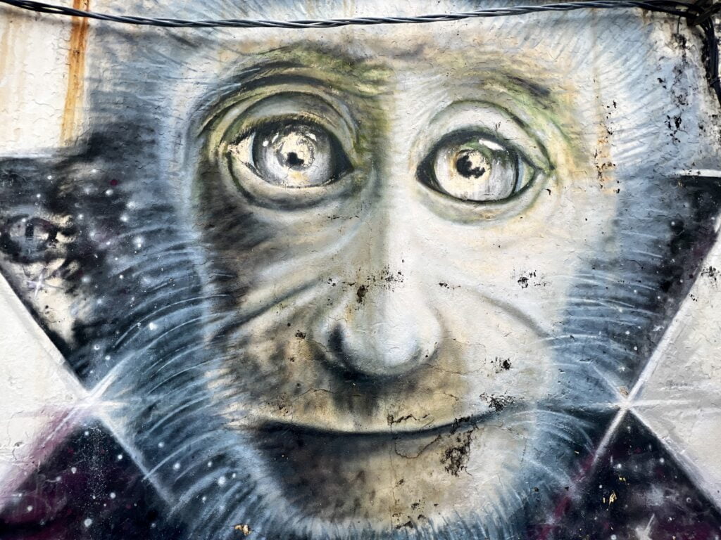 George Town Streetart